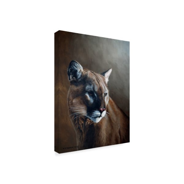 Ron Parker 'Cougar' Canvas Art,14x19